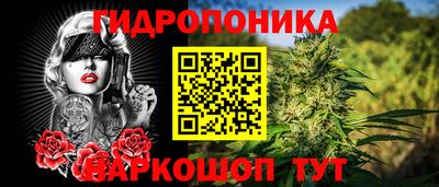 эйфоретик Бердск